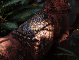 Similar image 22120463