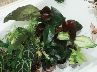 Similar image 22120464