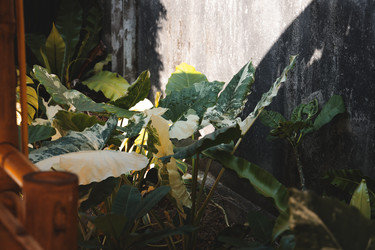 Similar image 22120467