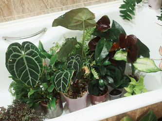 Similar image 22120468