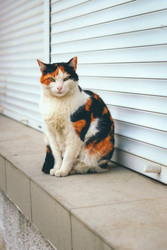 Similar image 22114545