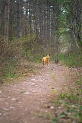 Similar image 22114546