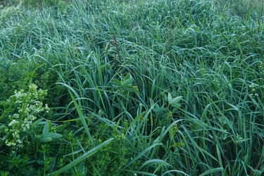 Similar image 22111859