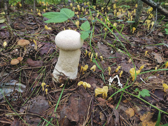 Similar image 22111862