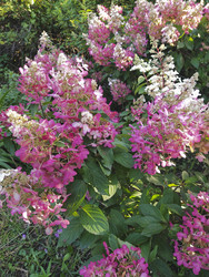 Similar image 22111863