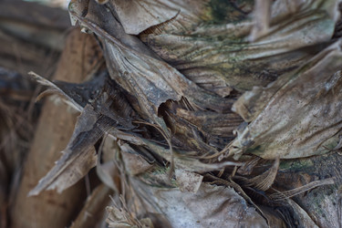 Similar image 22111866