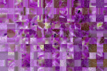 Similar image 22111868