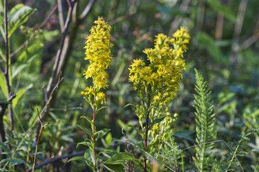 Similar image 22111873