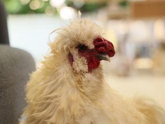 Similar image 22120469