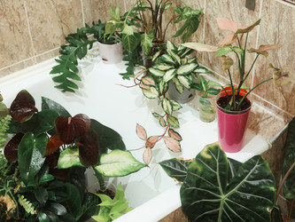 Similar image 22120477