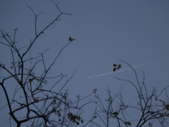 Similar image 22120482