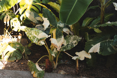 Similar image 22120498