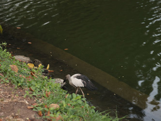 Similar image 22120502