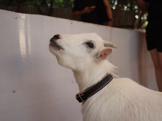 Similar image 22120503