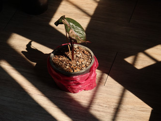 Similar image 22120509