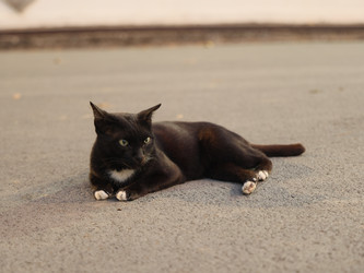 Similar image 22120876