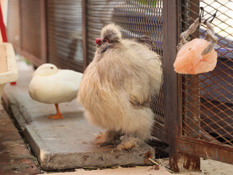 Similar image 22120888