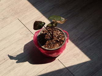 Similar image 22120893