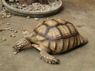 Similar image 22120895