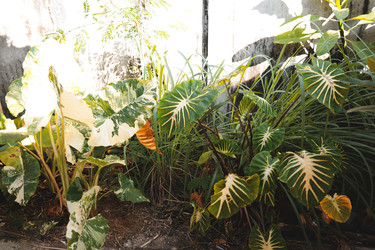 Similar image 22120899