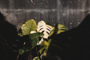 Similar image 22120901