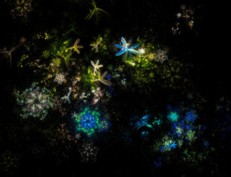 Similar image 22113156