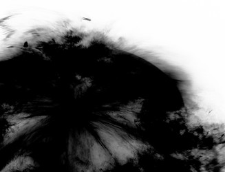 Similar image 22113007