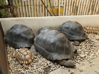 Similar image 22120514