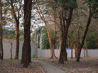 Similar image 22120521