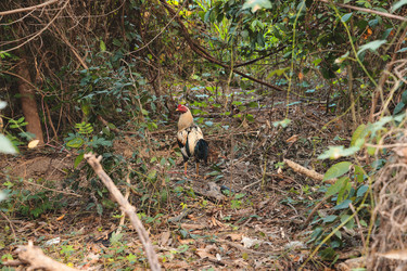 Similar image 22120530