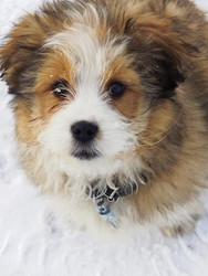 Similar image 22112445