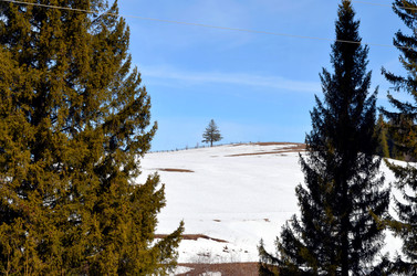 Similar image 22111893