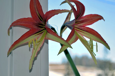 Similar image 22111898