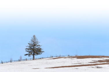 Similar image 22111902