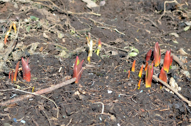 Similar image 22111903