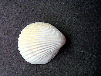 Similar image 22112129