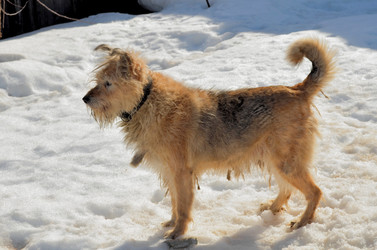 Similar image 22112137