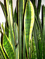 Similar image 22112140