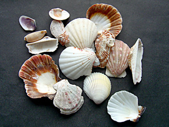 Similar image 22112141