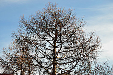 Similar image 22112144