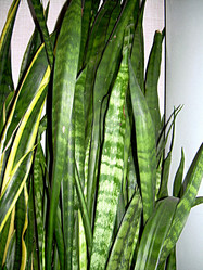 Similar image 22112145