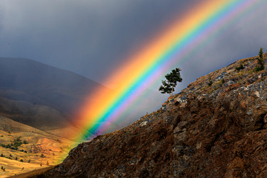 Similar image 22114547