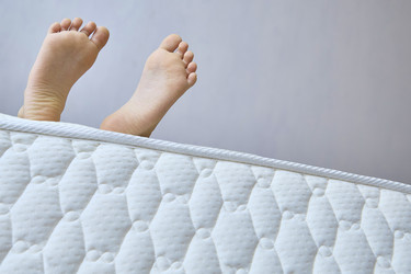 Similar image 22114718