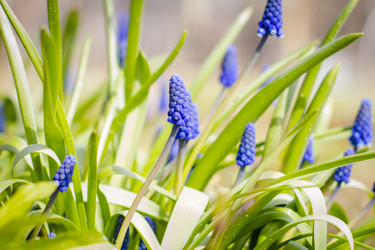 Similar image 22111780