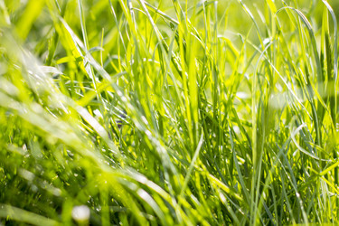 Similar image 22111781