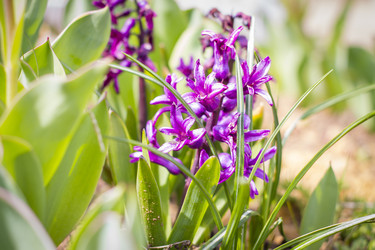 Similar image 22111824