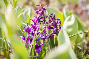 Similar image 22111825