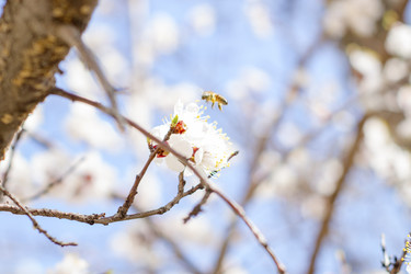 Similar image 22111826