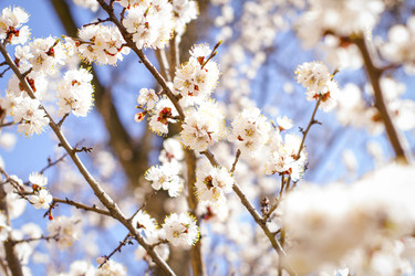 Similar image 22111827