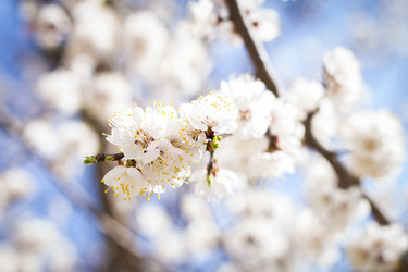 Similar image 22111828